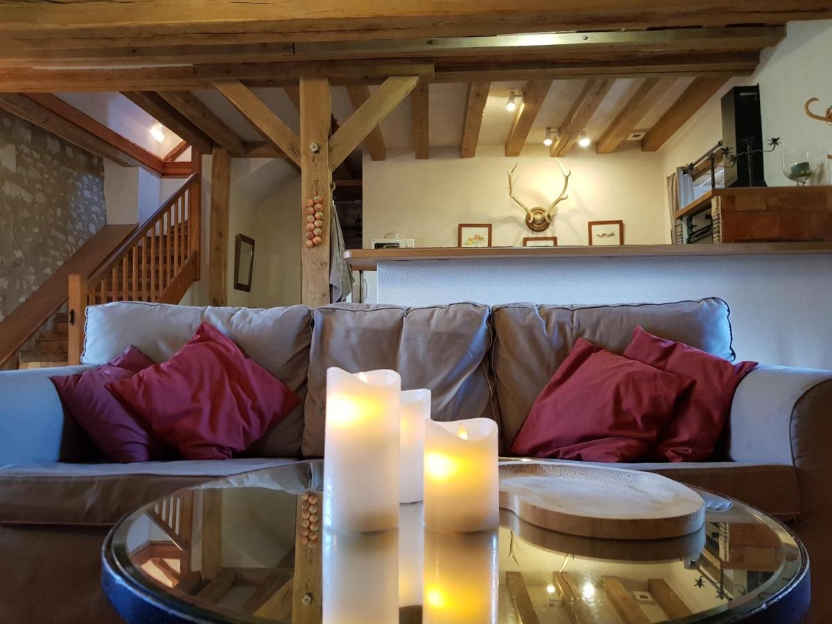 Chateau De Salvert - 4 Gites - 32 Personnes Neuillé エクステリア 写真